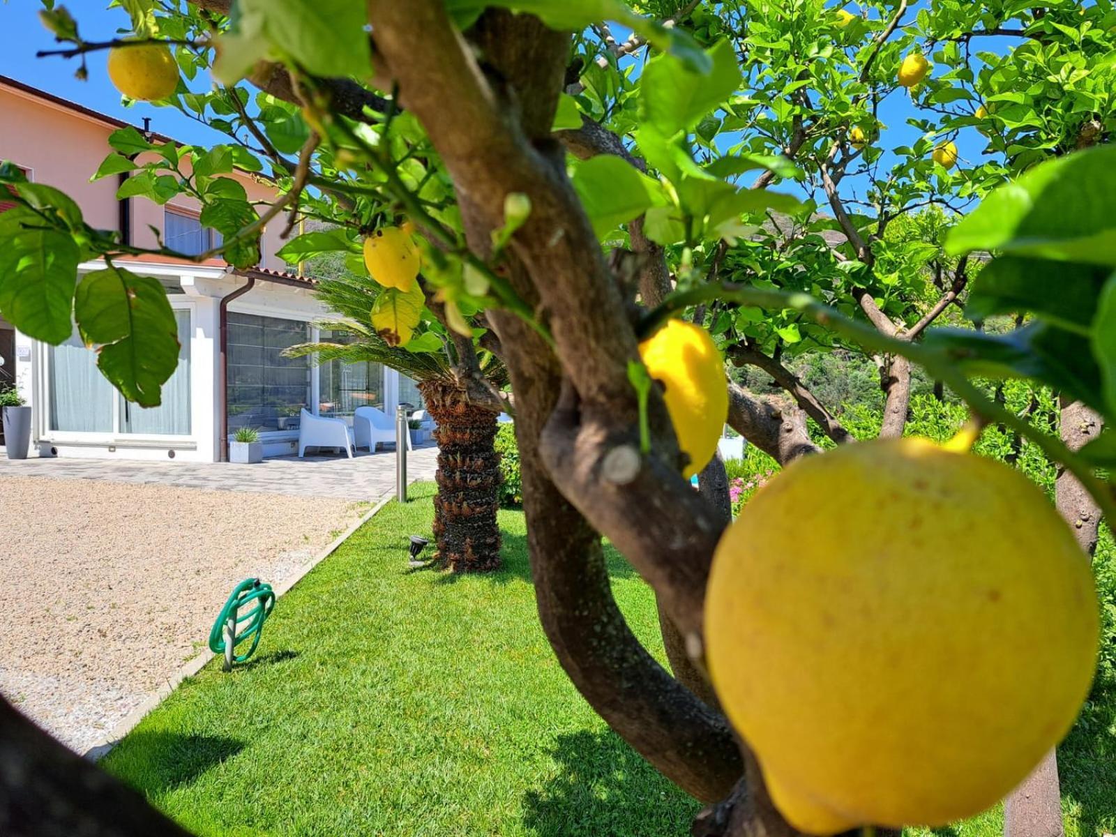 B&B Capo Al Piano Marciana Marina  Exterior photo