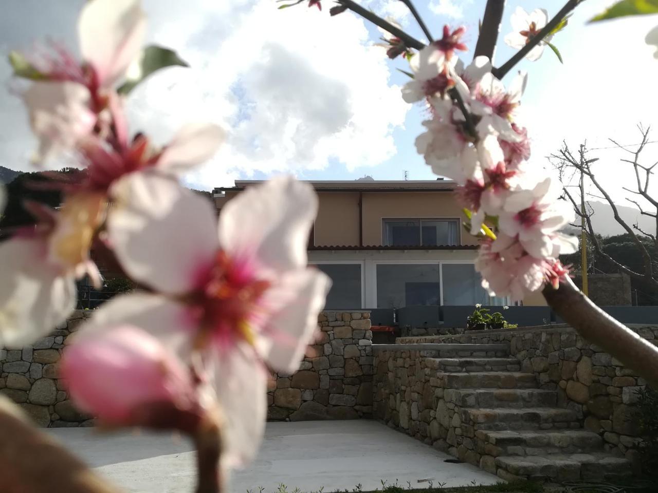 B&B Capo Al Piano Marciana Marina  Exterior photo